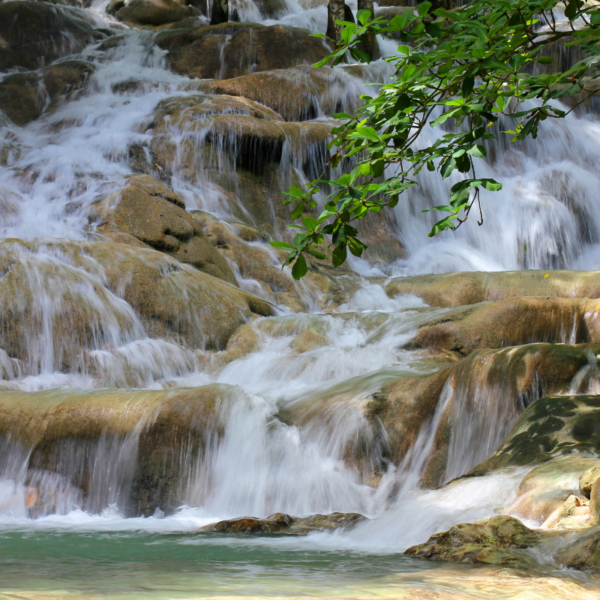 Dunns River Falls - Image 3